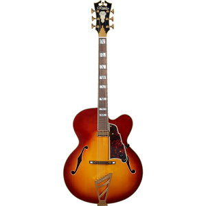 D'Angelico �M�^�[ Excel EXL-1 Iced Tea Burst
