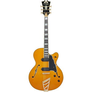 D'Angelico �M�^�[ Excel 59 Vintage Natural