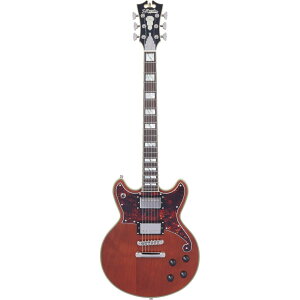 D'Angelico �M�^�[ Deluxe Brighton Matte Walnut