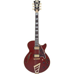 D'Angelico �M�^�[ Excel SS Viola