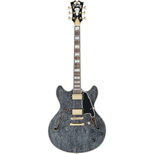 D'Angelico M^[ Excel DC Black Dog