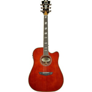 D'Angelico �M�^�[ Excel Bowery Auburn