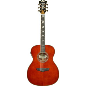 D'Angelico �M�^�[ Excel Tammany Auburn