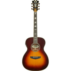 D'Angelico �M�^�[ Excel Tammany Vintage Sunburst
