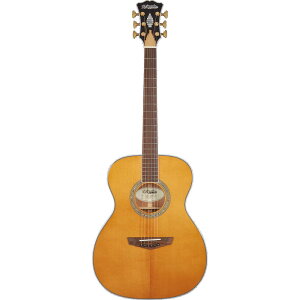 D'Angelico �M�^�[ Excel Tammany XT Vintage Natural