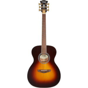 D'Angelico �M�^�[ Excel Tammany XT Vintage Sunburst