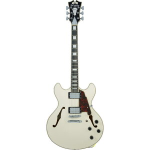 D'Angelico M^[ Premier DC Champagne