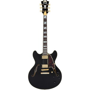 D'Angelico M^[ Excel DC Solid Black