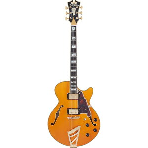 D'Angelico �M�^�[ Excel SS Vintage Natural