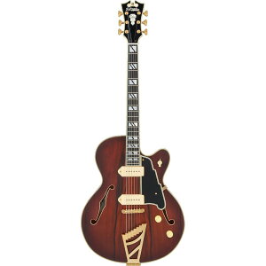 D'Angelico M^[ Deluxe 59 Satin Brown Burst