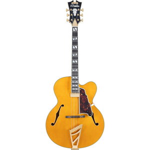 D'Angelico �M�^�[ Excel EXL-1 Amber