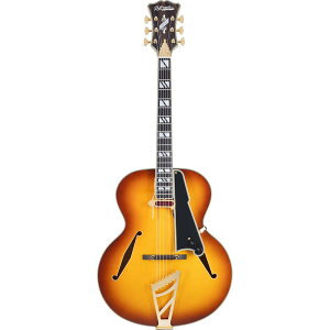 D'Angelico �M�^�[ Excel Style B Dark Iced Tea Burst
