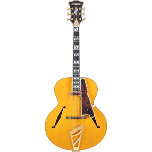 D'Angelico �M�^�[ Excel Style B Amber