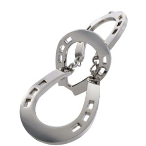 ̂pY mb̗ ͂ LXg z[X Hanayama ni}