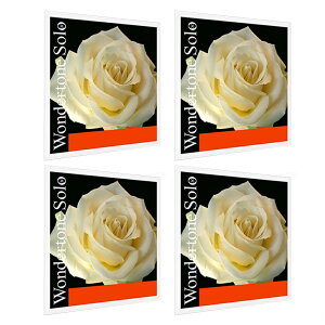 PIRASTRO �����_�[�g�[���\�� �o�C�I������ E(3152) A(3122) D(4103) G(4104) �Z�b�g 4/4 VIOLIN WONDERTONE SOLO EADG SET