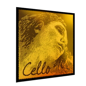 PIRASTRO G@sbcBS[h `F C 4/4 ROPE CORE/TUNGUSTEN CELLO EVAH PIRAZZI GOLD 3354 C