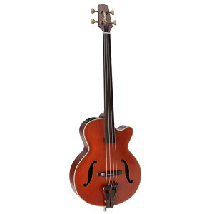 Takamine ^J~l GNgbNAR[XeBbNM^[ BASS Series B10