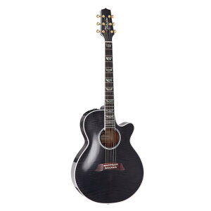 Takamine ^J~l GNgbNAR[XeBbNM^[ 100 Series FPT181AC SBL