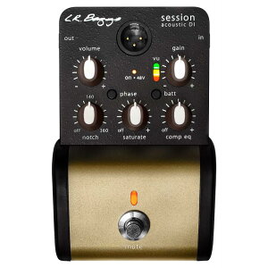 L.R.Baggs �G���A�[���o�b�O�X Session Acoustic DI