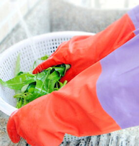 DCMR �L�b�`�� The �S�� ��� �\�� �ʉ� ����~�� �݌v ���� �t���t�� �������� ���H �S�� 50 �Z���` �r �J�o�[ �t�� �� �֗� �� �� �s�b�^�� �t�B�b�g ���� �W���X�g �t�B�b�g �\��