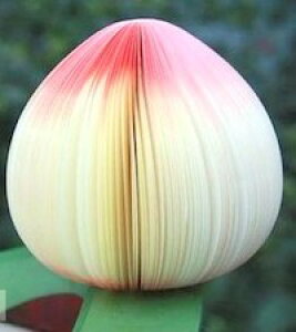 DCMR  t[c ̌`  t ܂ {    ̂悤 ̏    CeA ɂȂ I