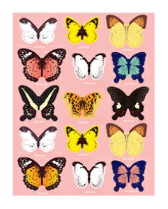 DCMR y 1 _ z fR[V E X 10  LN^  e[v V[ t