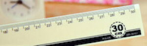 DCMR 30 cm  NVbN X^C CG[ K XP[
