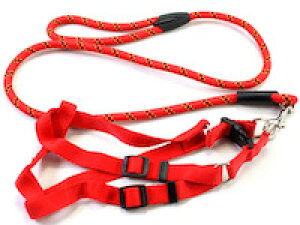 DCMR ybgpi [h R  Œ莮 S xg  ; 120cm R;0.8cm ^p