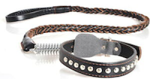 DCMR ybgpi hbO [h ol v R  S xg MTCY ( d367g 120cm ͈֔ 4254cm ֕3cm )