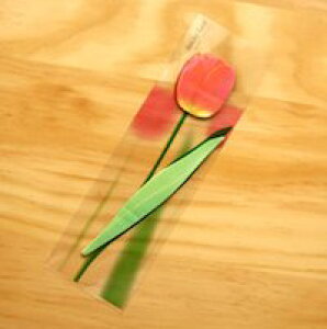 DCMR y 1_ zԐF `[bv  t ʂ t[ fR[V A v^[ Xe[Vi[   pbh