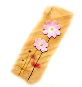 DCMR y 1_ ze sN  t ʂ t[ fR[V A v^[ Xe[Vi[   pbh