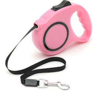 DCMR ybgpi  nfB  [h R sN R S xg ; 300cm ^p