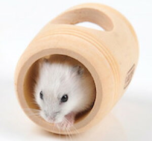 DCMR ybgpi y1_ znX^[ 񂵎 U M gl i` Ebh fUC ₷ | ȒP ] bg X  ybg p