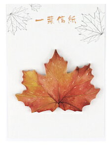 DCMR  y1_ ԁz3D A t gt JGf  C`E  ܂ {  t  Xe[Vi[  m[g