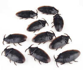 楽天市場 ゴキブリ おもちゃの通販 楽天市場 ゴキブリ おもちゃの通販