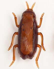 楽天市場 動くゴキブリおもちゃの通販