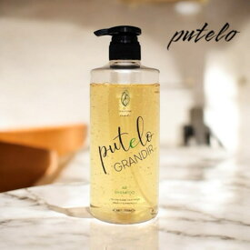 putelo　プテロARシャンプー　グランディール　700ml　育毛 サロン専売品 植物由来　抜け毛予防 ユニセックス 薄毛　リンパ　スカルプ　リピーター多
