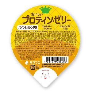 oX veC[[ pCIW 74g×24yH h{⋋ ҁz