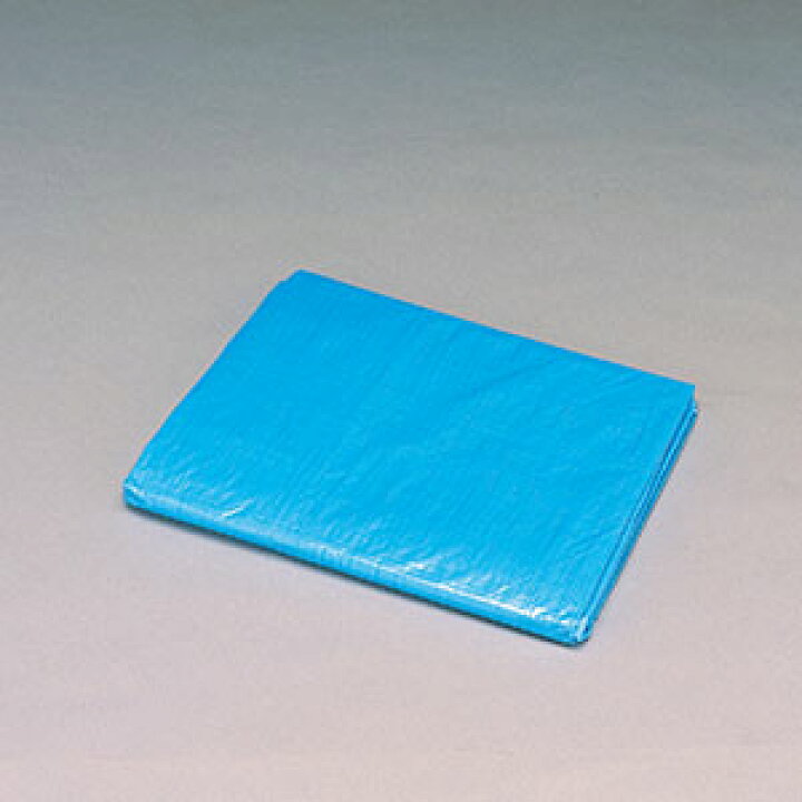 507円 【別倉庫からの配送】 IRIS ブルーシートB15−3654Eブルー B15-3654E 507円 【別倉庫からの配送】 IRIS ブルーシートB15−3654Eブルー B15-3654E