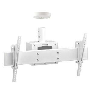 `100V^ V݋ ert zCg CH-83W n~yerEfBXvCj^[pzyHAYAMI HAMILeXz