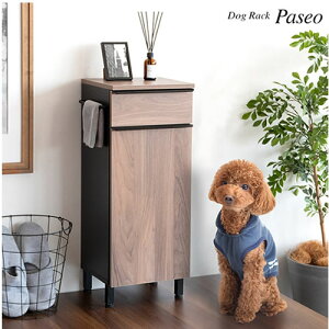 hbObN PaseoipZIj uE DGR-760-BR {쏊ygKvłiڈ60jzyybgƋz