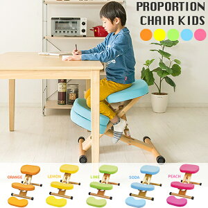 v|[V`FALbY IW ⏕NbVt CH-889CK-OR {쏊yCeAG݁EƋzyqlgݗāz֎q qp ǂp oX`FA pT|[g