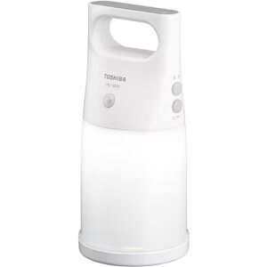 ZT[tLED^ zCg lÃZT[ h\ LKL-3000-W ŁyTOSHIBAzyP3`3{idrʁjz