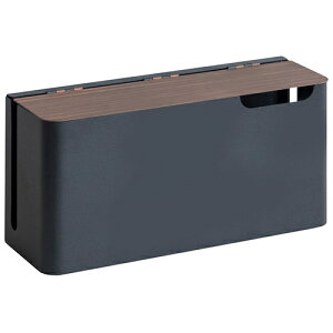 �Q�[���@�P�[�X TEER�i�e�B�[���j �u���b�N�u���E�� NintendoSwitch2 �C�V���X�C�b�`2 GC-2600M-BKBR �{�����쏊�y�����i�z�y�ؖڒ��z�Q�[���P�[�X