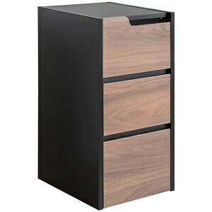 �Q�[���@���S�� REGABO�i���K�{�j �u���E�� �Q�[���@���[���b�N Switch���[ GRK-008R-BR �{�����쏊�y���q�l�g�ݗ��āz�y�C�V���X�C�b�` Switch2�z