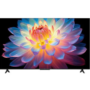 55V�^ P61K 4K�t���e���r GoogleTV���� �n��EBS�E110�xCS�f�W�^�� 4K�`���[�i�[���� 55P61K TCL�yP61K�V���[�Y�z�y�e�B�[�V�[�G���z