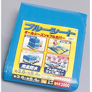 ACXI[}yng20zu[V[g #3000 hdl 3.6m×5.4m B30-3654yTrɋz