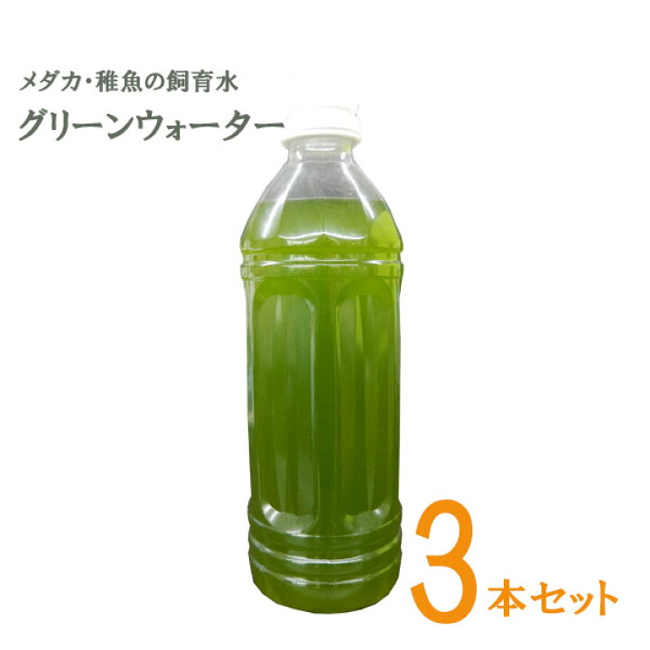 楽天市場 メダカ グリーンウォーター 500ｍｌ メダカ 稚魚 針子 エサ 飼育 3本セット Nちゃんねる