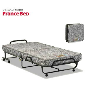 フランスベッド パンテオン ベッド 通販 価格比較 価格 Com