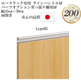 大洋 エースラック/カラーラック パーツオプション 突っ張り棚用扉 ラインハンドルタイプ 幅45～59cm type65